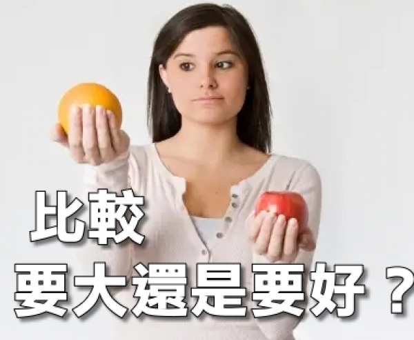 請問德國威世晶片跟其他家晶片有什麼差別呢？